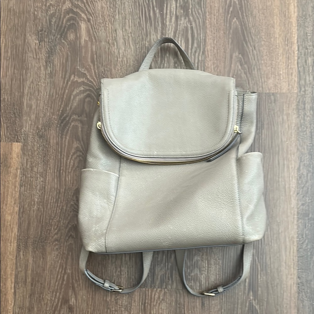Gray Modern Minimalist Backpack with Flap Closure